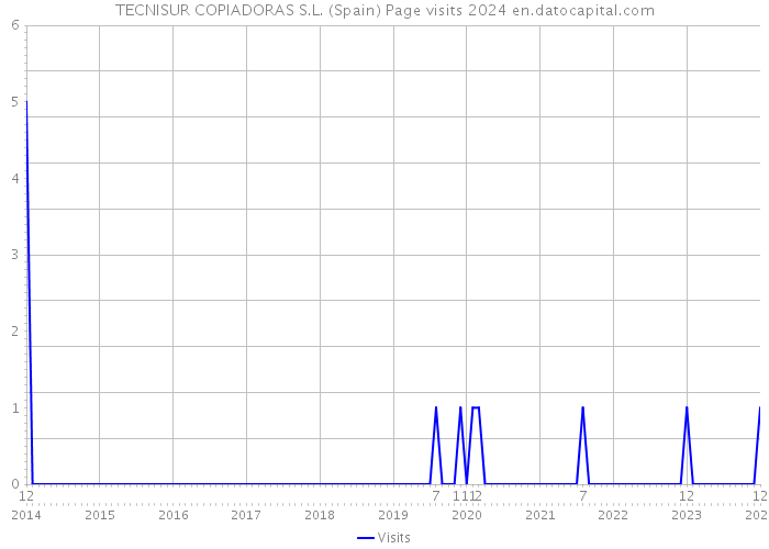 TECNISUR COPIADORAS S.L. (Spain) Page visits 2024 