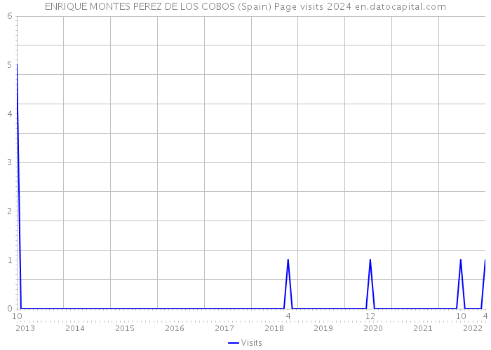 ENRIQUE MONTES PEREZ DE LOS COBOS (Spain) Page visits 2024 