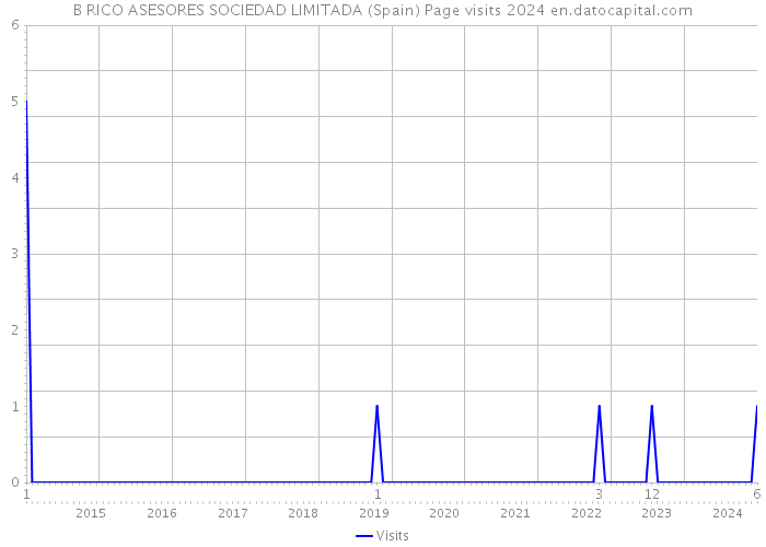 B RICO ASESORES SOCIEDAD LIMITADA (Spain) Page visits 2024 