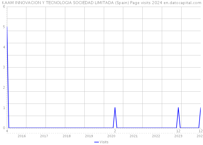 KAAM INNOVACION Y TECNOLOGIA SOCIEDAD LIMITADA (Spain) Page visits 2024 