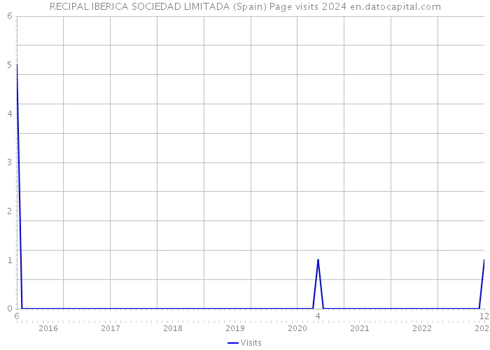 RECIPAL IBERICA SOCIEDAD LIMITADA (Spain) Page visits 2024 