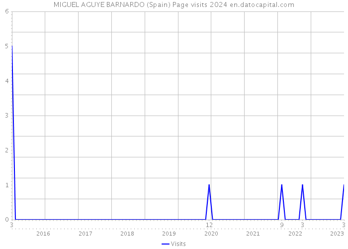 MIGUEL AGUYE BARNARDO (Spain) Page visits 2024 