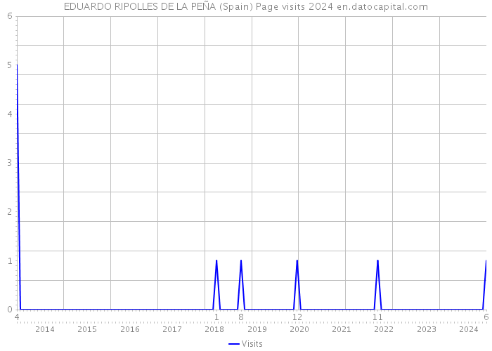 EDUARDO RIPOLLES DE LA PEÑA (Spain) Page visits 2024 
