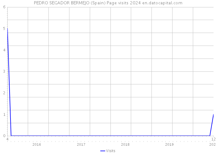 PEDRO SEGADOR BERMEJO (Spain) Page visits 2024 