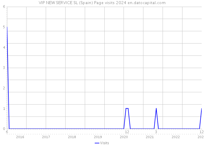 VIP NEW SERVICE SL (Spain) Page visits 2024 