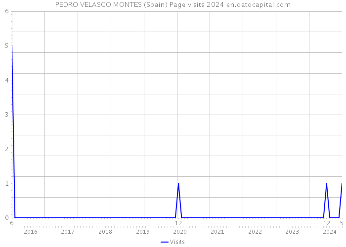 PEDRO VELASCO MONTES (Spain) Page visits 2024 