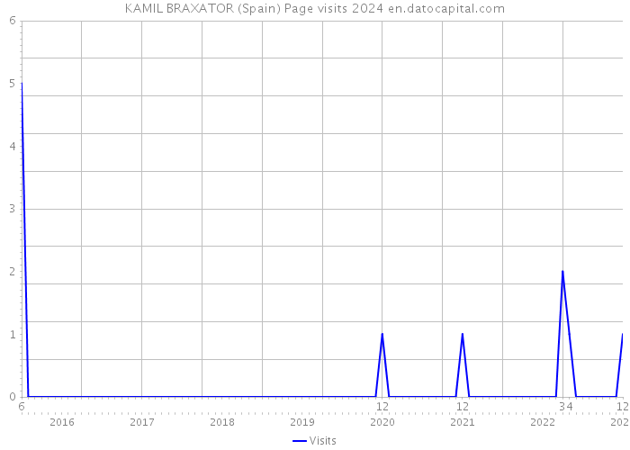 KAMIL BRAXATOR (Spain) Page visits 2024 