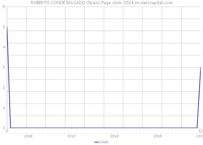 ROBERTO CONDE SALGADO (Spain) Page visits 2024 