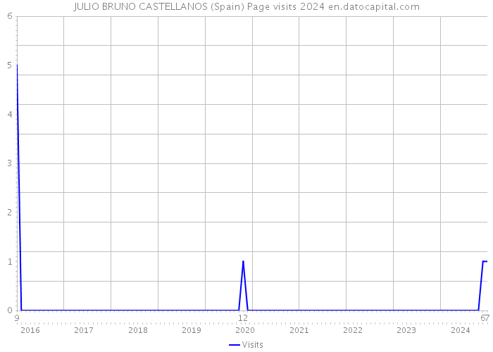 JULIO BRUNO CASTELLANOS (Spain) Page visits 2024 