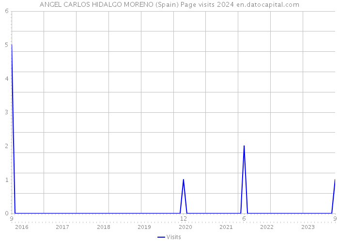 ANGEL CARLOS HIDALGO MORENO (Spain) Page visits 2024 