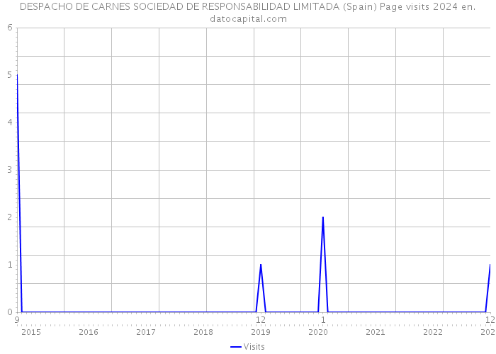 DESPACHO DE CARNES SOCIEDAD DE RESPONSABILIDAD LIMITADA (Spain) Page visits 2024 