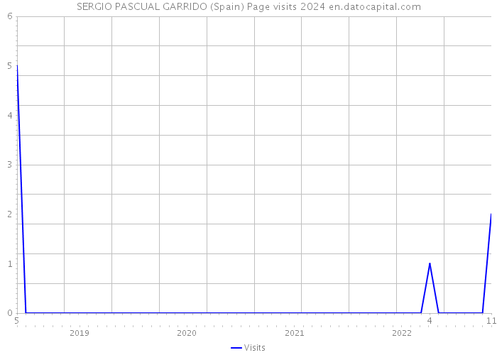 SERGIO PASCUAL GARRIDO (Spain) Page visits 2024 