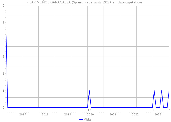 PILAR MUÑOZ GARAGALZA (Spain) Page visits 2024 
