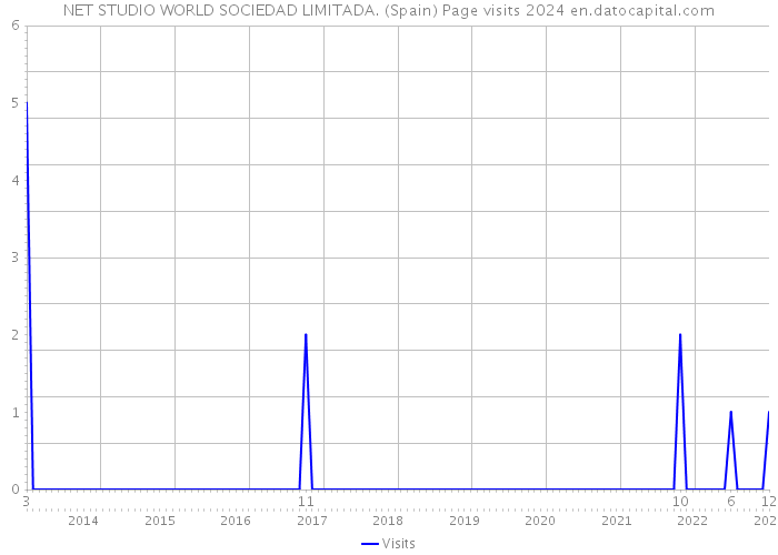 NET STUDIO WORLD SOCIEDAD LIMITADA. (Spain) Page visits 2024 