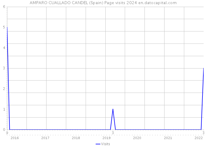 AMPARO CUALLADO CANDEL (Spain) Page visits 2024 