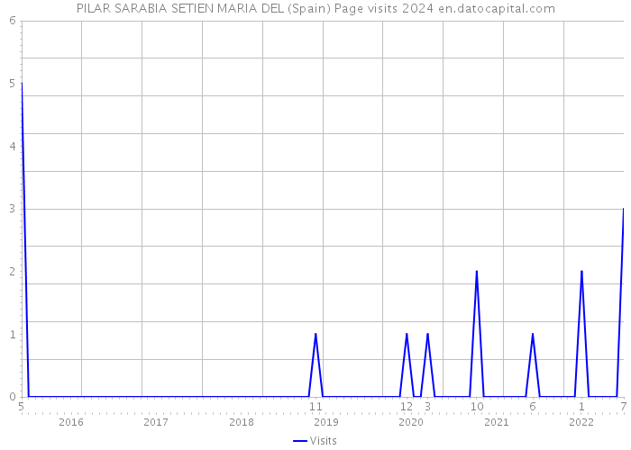 PILAR SARABIA SETIEN MARIA DEL (Spain) Page visits 2024 