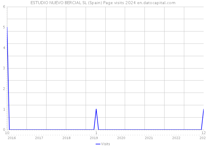 ESTUDIO NUEVO BERCIAL SL (Spain) Page visits 2024 