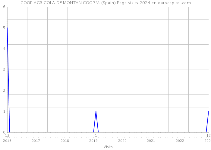 COOP AGRICOLA DE MONTAN COOP V. (Spain) Page visits 2024 