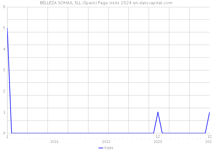 BELLEZA SOHAIL SLL (Spain) Page visits 2024 