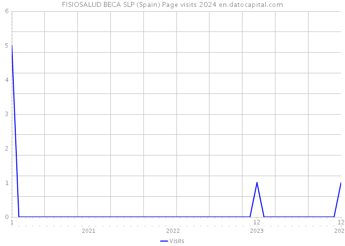 FISIOSALUD BECA SLP (Spain) Page visits 2024 