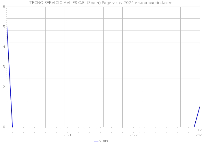 TECNO SERVICIO AVILES C.B. (Spain) Page visits 2024 
