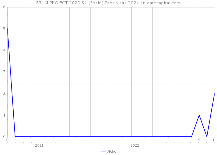 BRUM PROJECT 2020 S.L (Spain) Page visits 2024 