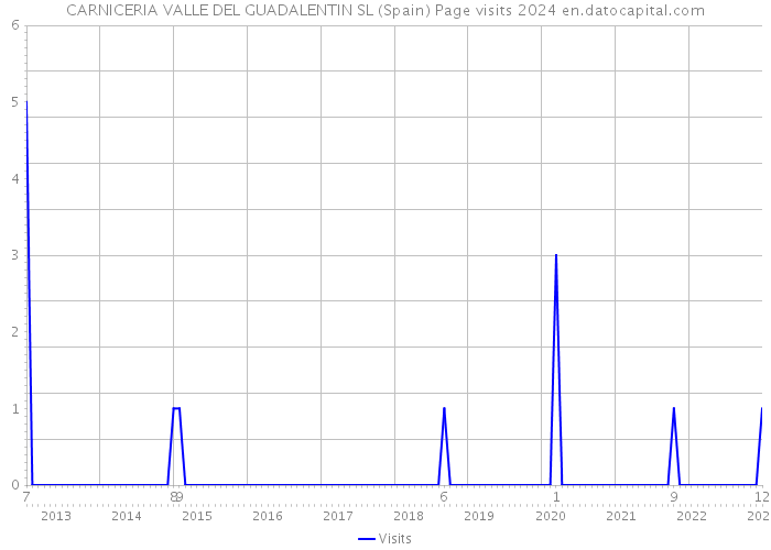 CARNICERIA VALLE DEL GUADALENTIN SL (Spain) Page visits 2024 