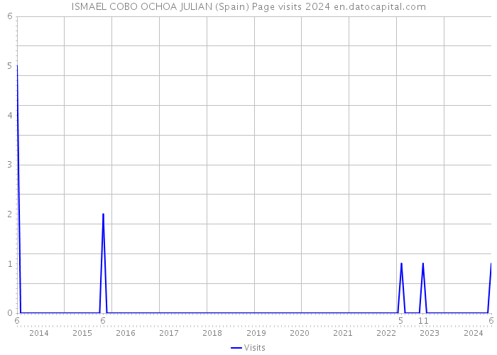 ISMAEL COBO OCHOA JULIAN (Spain) Page visits 2024 