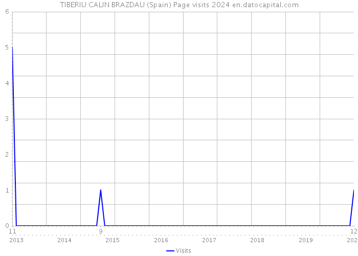 TIBERIU CALIN BRAZDAU (Spain) Page visits 2024 