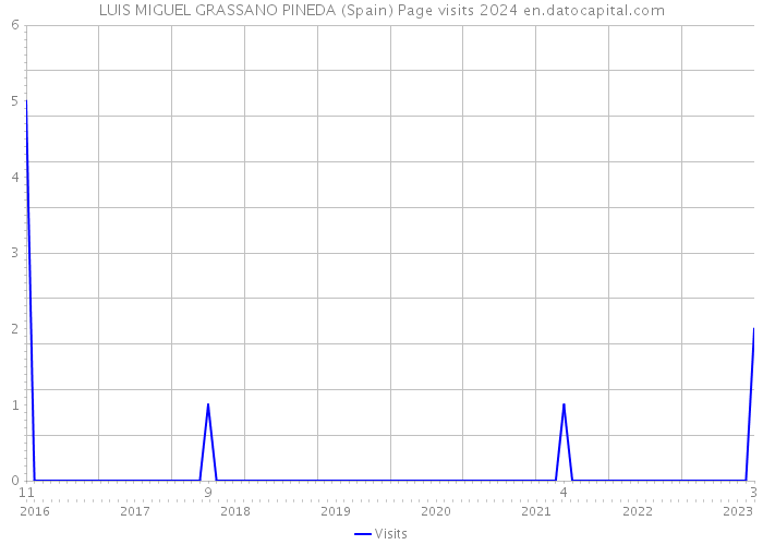 LUIS MIGUEL GRASSANO PINEDA (Spain) Page visits 2024 