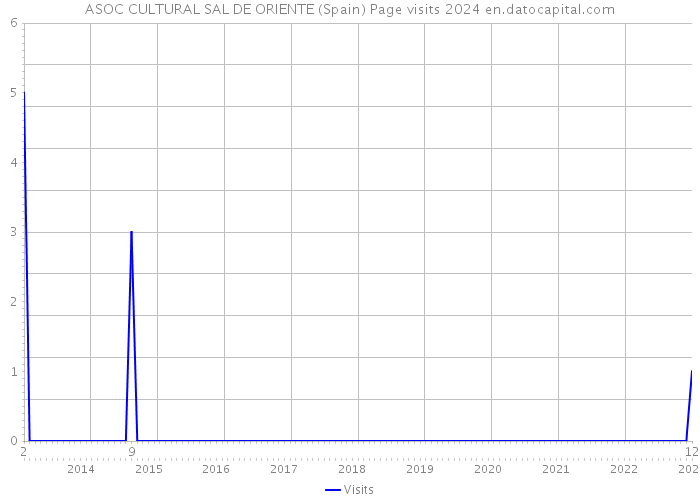 ASOC CULTURAL SAL DE ORIENTE (Spain) Page visits 2024 