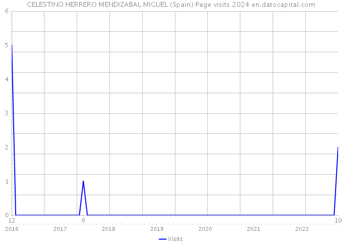 CELESTINO HERRERO MENDIZABAL MIGUEL (Spain) Page visits 2024 