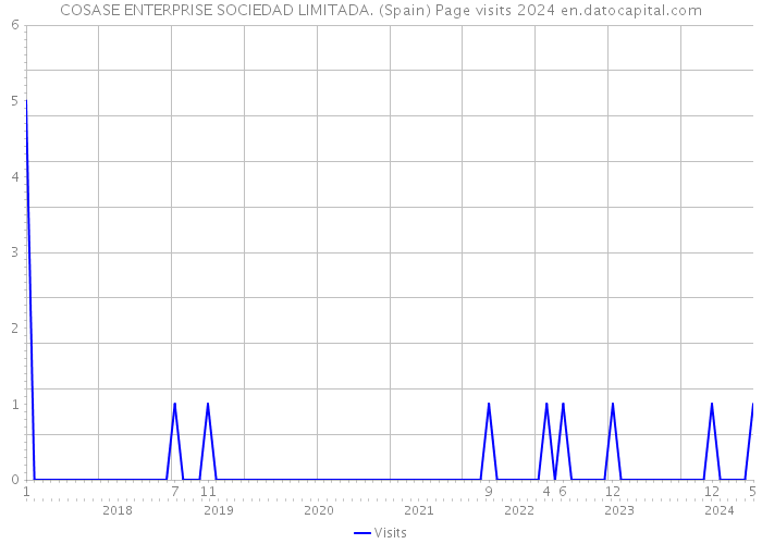 COSASE ENTERPRISE SOCIEDAD LIMITADA. (Spain) Page visits 2024 
