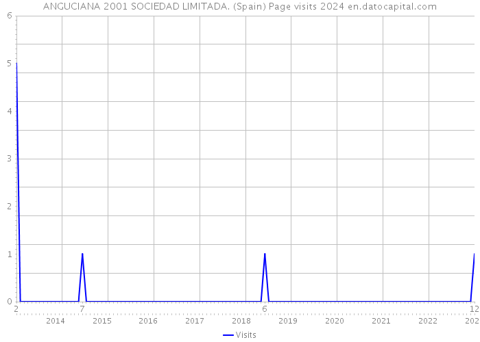 ANGUCIANA 2001 SOCIEDAD LIMITADA. (Spain) Page visits 2024 
