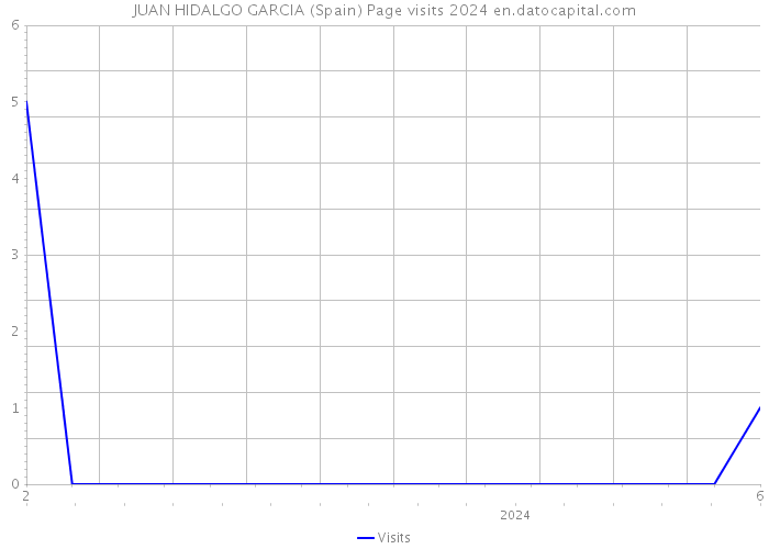 JUAN HIDALGO GARCIA (Spain) Page visits 2024 