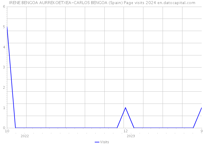 IRENE BENGOA AURREKOETXEA-CARLOS BENGOA (Spain) Page visits 2024 