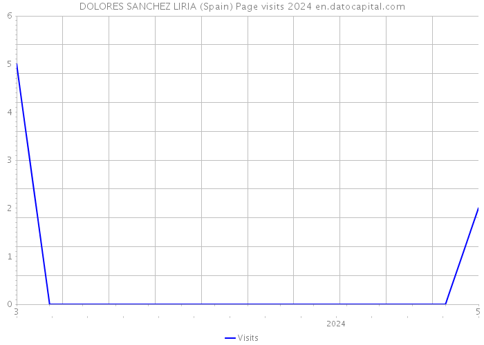 DOLORES SANCHEZ LIRIA (Spain) Page visits 2024 