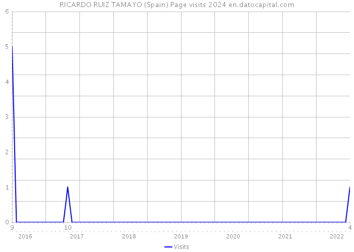 RICARDO RUIZ TAMAYO (Spain) Page visits 2024 