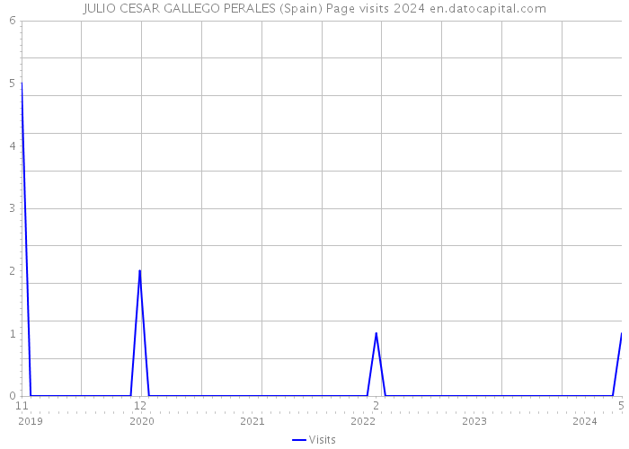 JULIO CESAR GALLEGO PERALES (Spain) Page visits 2024 