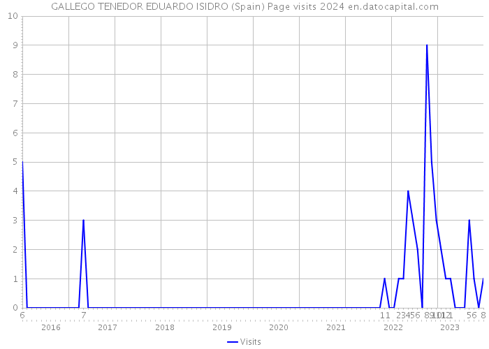GALLEGO TENEDOR EDUARDO ISIDRO (Spain) Page visits 2024 