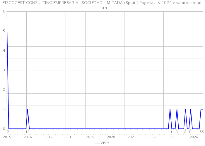 FISCOGEST CONSULTING EMPRESARIAL SOCIEDAD LIMITADA (Spain) Page visits 2024 