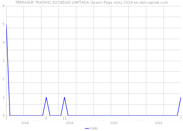 TERRASUR TRADING SOCIEDAD LIMITADA (Spain) Page visits 2024 