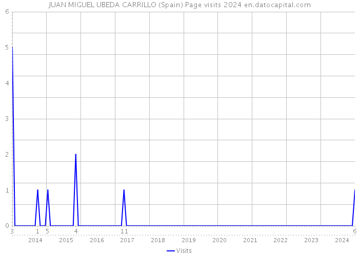 JUAN MIGUEL UBEDA CARRILLO (Spain) Page visits 2024 