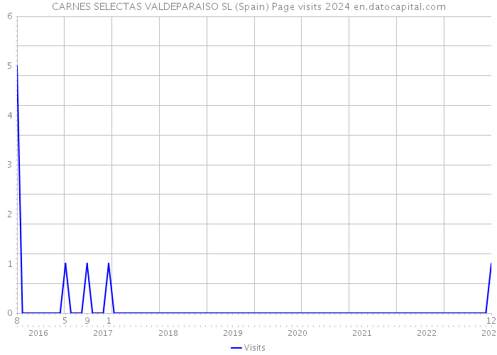 CARNES SELECTAS VALDEPARAISO SL (Spain) Page visits 2024 