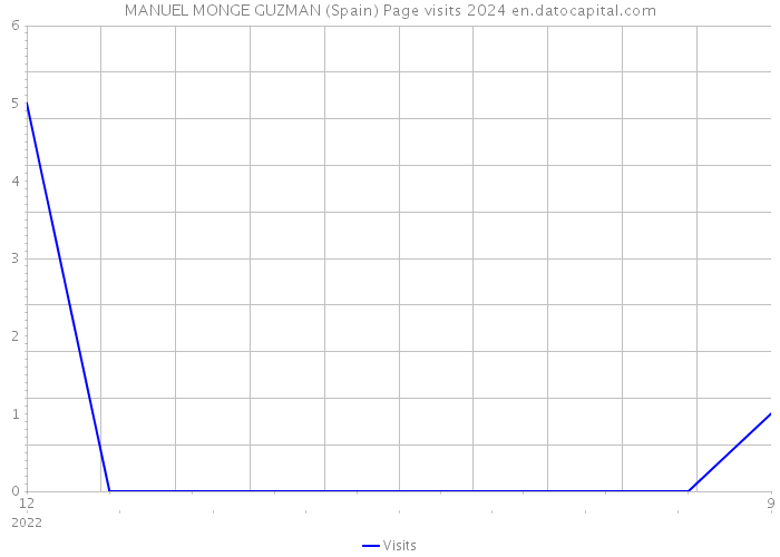 MANUEL MONGE GUZMAN (Spain) Page visits 2024 