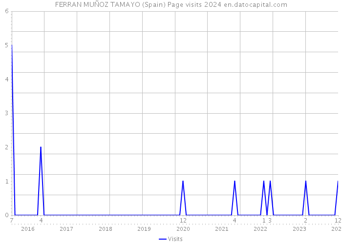 FERRAN MUÑOZ TAMAYO (Spain) Page visits 2024 