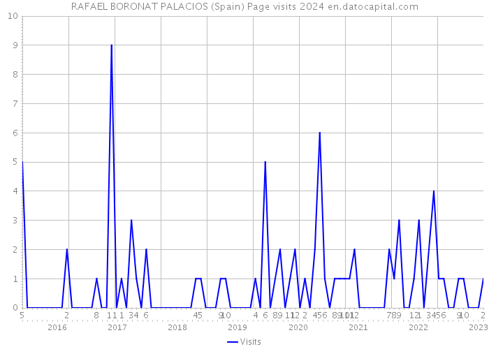 RAFAEL BORONAT PALACIOS (Spain) Page visits 2024 