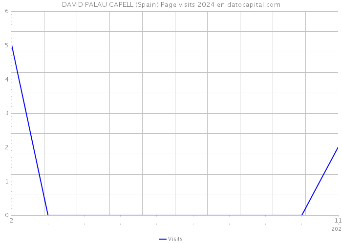 DAVID PALAU CAPELL (Spain) Page visits 2024 