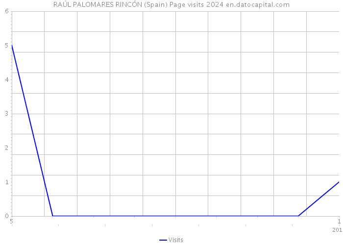 RAÚL PALOMARES RINCÓN (Spain) Page visits 2024 