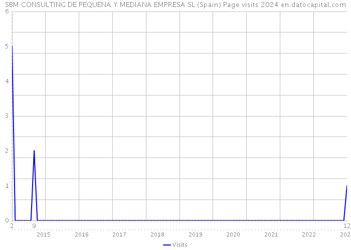 SBM CONSULTING DE PEQUENA Y MEDIANA EMPRESA SL (Spain) Page visits 2024 